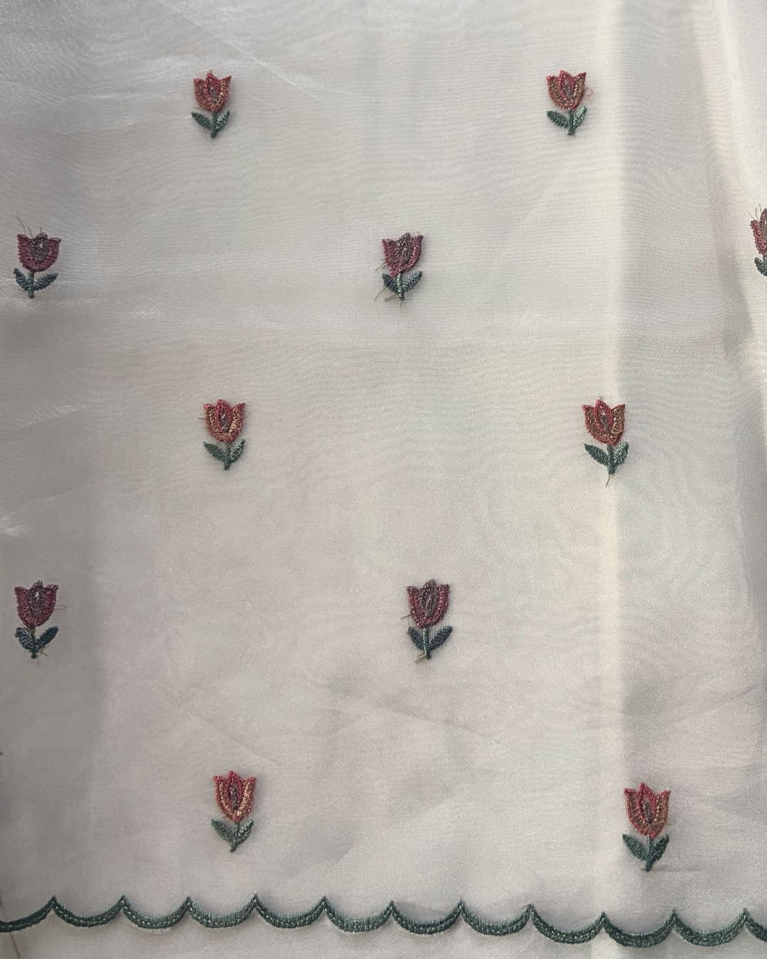 Tissue Saree with Embroidery Work