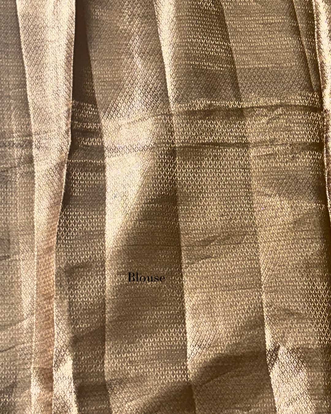 Pure Tissue Saree with Petit Point Embroidery & Zari Border