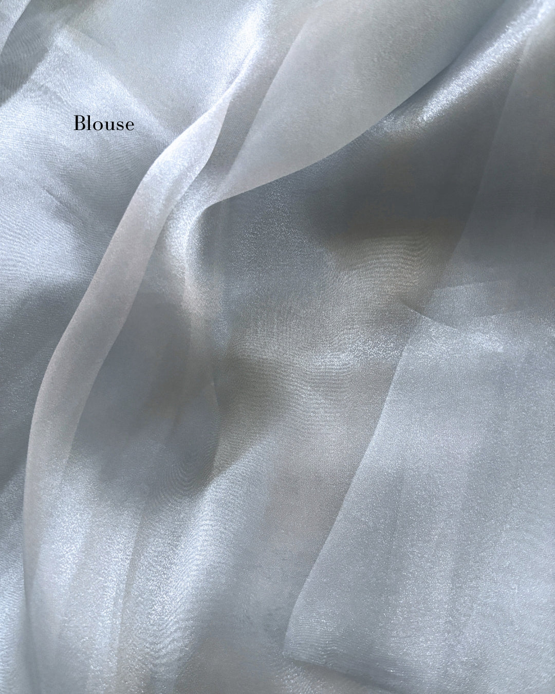 Tissue Saree with Embroidery Work